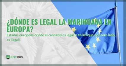 ¿Dónde es legal la marihuana en Europa y dónde no?