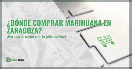 ¿Dónde comprar marihuana en Zaragoza? ¿Es mejor comprarlo online?