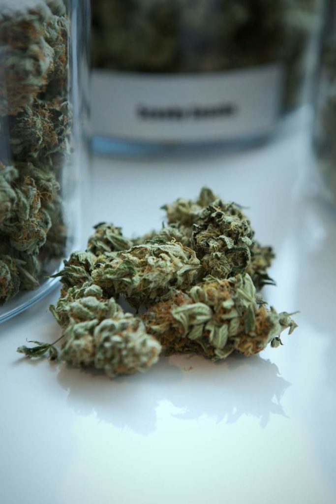 Para reconocer la calidad de las plantas de cannabis, debes prestar atención a los detalles