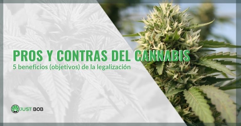 Pros y contras de legalizar el cannabis en España