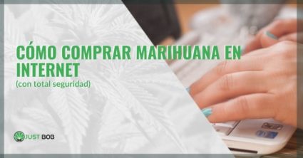 ¿Cómo se puede comprar marihuana legal en Internet de forma segura?