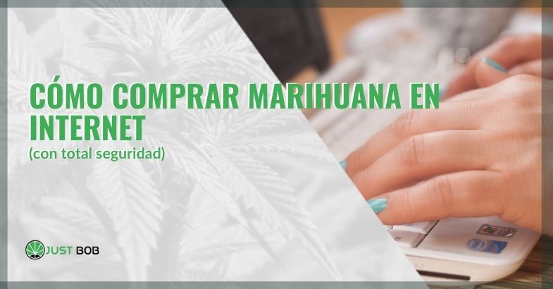 ¿Cómo se puede comprar marihuana legal en Internet de forma segura?