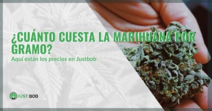 Los precios de Justbob por un gramo de marihuana