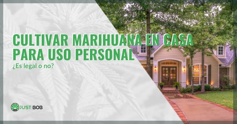 ¿Es legal cultivar marihuana en casa para uso personal?