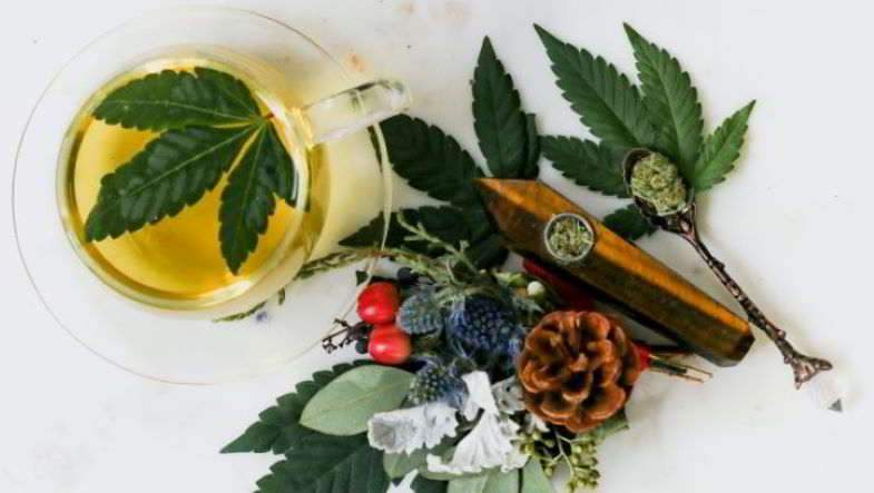 Alcohol vs cannabis medicinal.