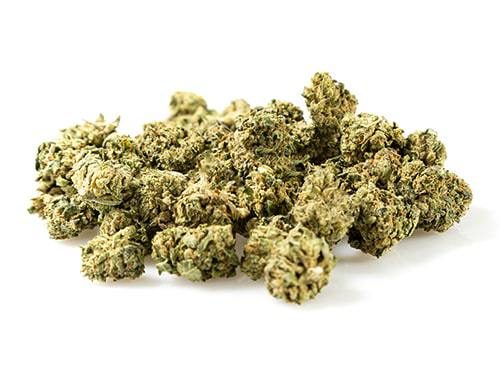 Cogollos Bubblegum marihuana CBD on line
