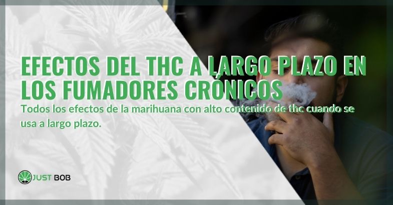 Fumadores crónicos de THC: estos son los efectos a largo plazo que puede tener el THC.
