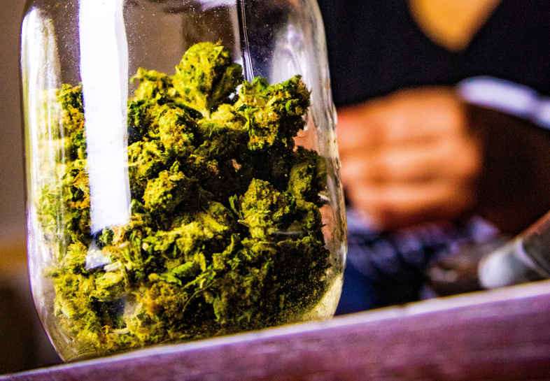 Marihuana con thc para uso terapéutico