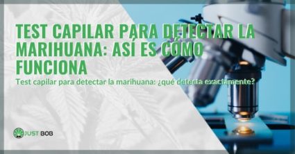 Cómo funciona el análisis del cabello para la marihuana