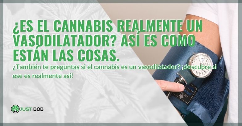 ¿Es el cannabis realmente un vasodilatador?