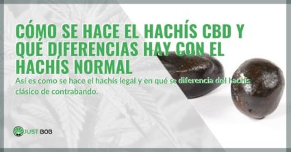 Cómo se produce el hachís ligero y las diferencias con el hachís de contrabando