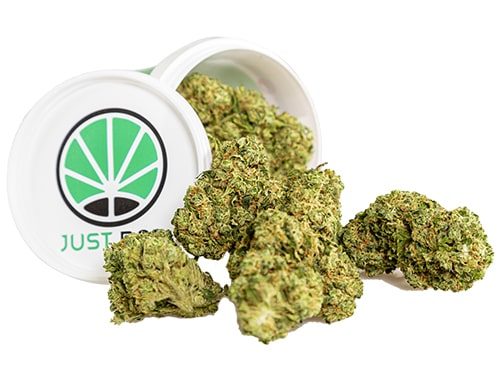Contenedor cogollos cbd Royal GG#4