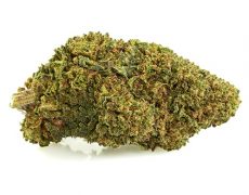 GG#4-cbd-boost-marihuana-cbd