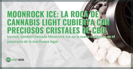 Icerock, cubierto de preciosos cristales de CBD