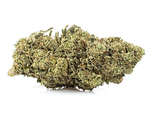 Royal-gg-4-marihana-cbd