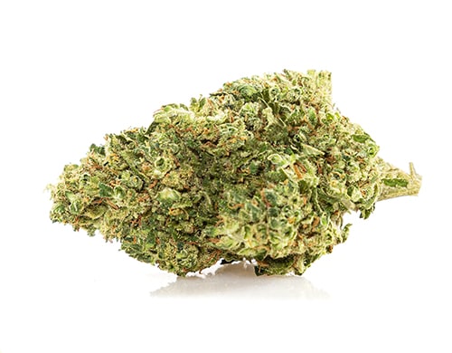 Royal-gg-4-marihana-cbd