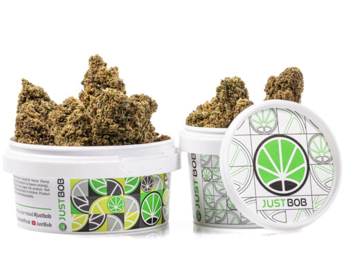 Tarro con Cogollo de cannabis cbd