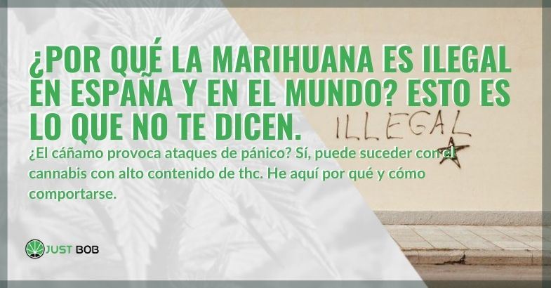 ¡Veamos por qué en España y también en otros países la marihuana es ilegal!