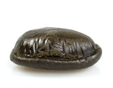 tableta de pakistano hachis online 