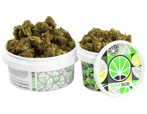 tarro con pequeñas flores de marihuana cbd gg#4