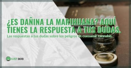 tomar-marihuana-duele ¿Es malo tomar marihuana? Esta es la respuesta.