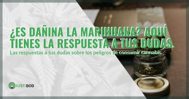 ¿Es malo tomar marihuana? Esta es la respuesta.