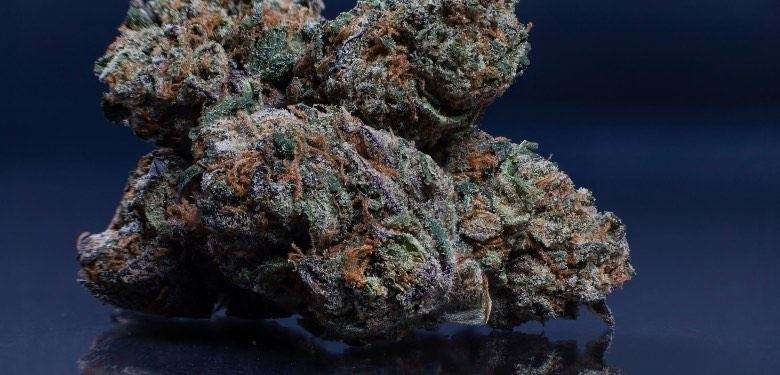 Flores de Forbidden Fruit Strain
