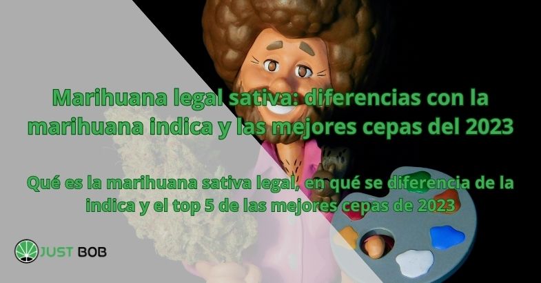 Marihuana legal sativa: diferencias con la marihuana indica y las mejores cepas del 2023