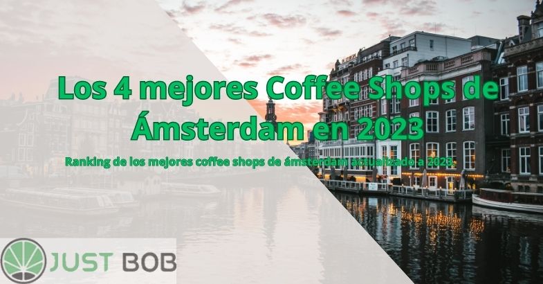 Los 4 mejores Coffee Shops de Ámsterdam en 2023