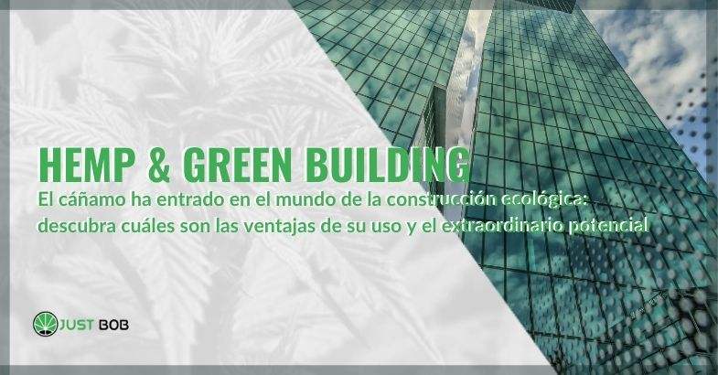 El potencial del cáñamo y su entrada en el mundo de la construcción ecológica