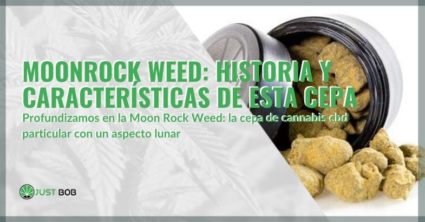 Más información sobre la luz de cannabis MoonRock Weed