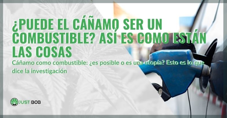 Esto es lo que dice la investigación sobre el uso del cáñamo como combustible