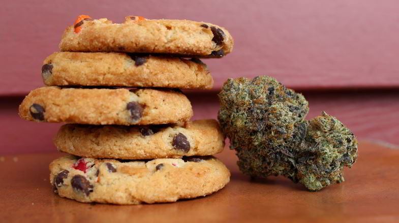 Galletas de cáñamo para uso alimentario