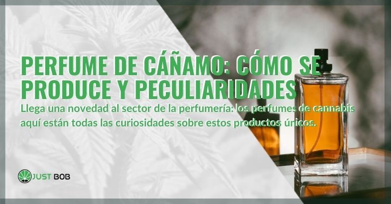 Todas las curiosidades sobre los perfumes de cáñamo