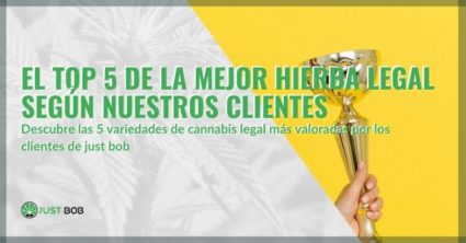 Las 5 de las mejores hierbas legales según los clientes de Justbob