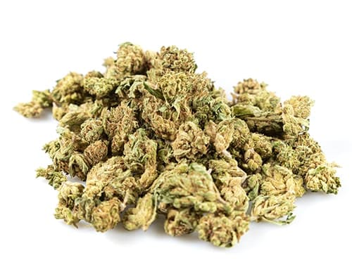 Cogollos Bubblegum marihuana CBD on line