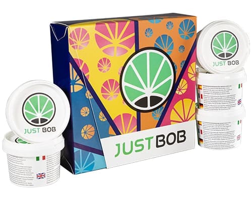 Kit Back2Work silver con 17 gramos de Cannabis CBD