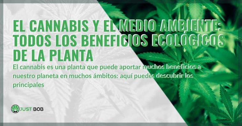 El cáñamo y los principales beneficios ecológicos.