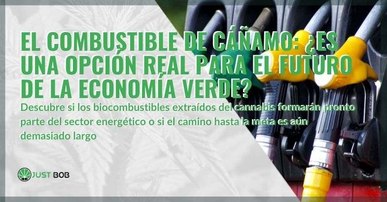 ¿Es el biocombustible de cáñamo el futuro de la economía verde?