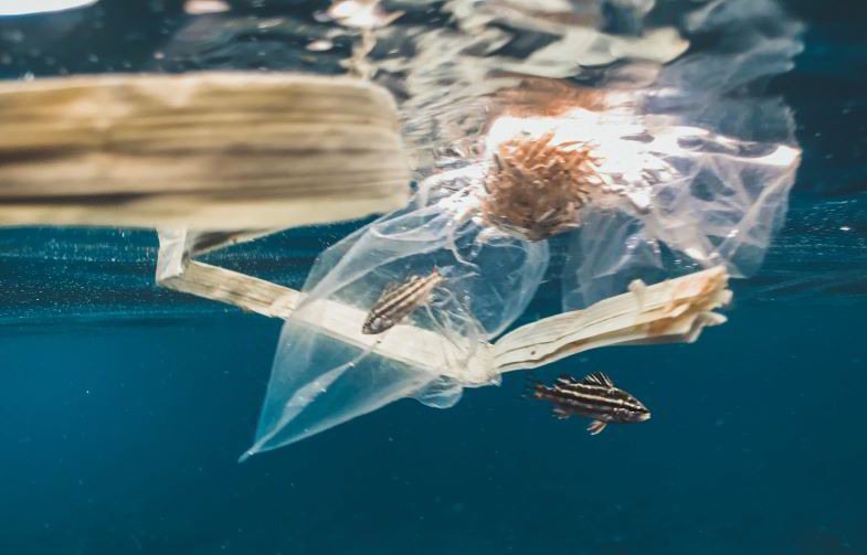 Plástico químico que contamina el medio ambiente, para ser reemplazado por el de cáñamo.