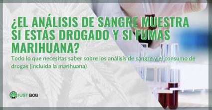 ¿Fumaste marihuana o tomas drogas, puedes ver en los análisis de sangre?