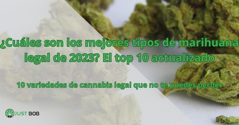 ¿Cuáles son los mejores tipos de marihuana legal de 2023? El top 10 actualizado
