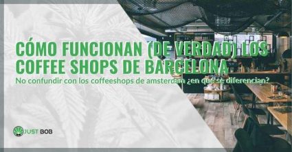 Como-funcionan-los-coffeeshops-en-Barcelona Cómo-funcionan-las-cafeterías-en-Barcelona