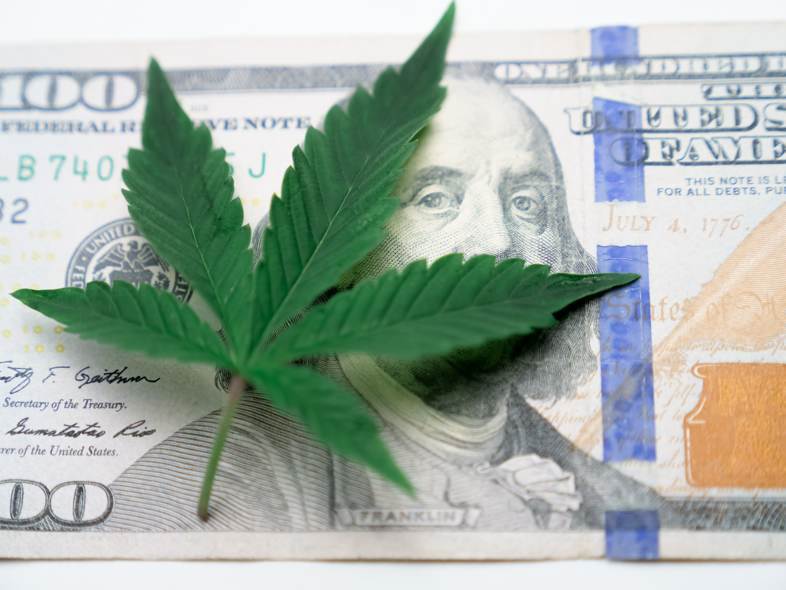 La legalización del cannabis aportaría más ingresos fiscales