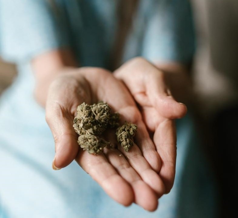 Poseer más de 5 gramos de marihuana es punible.