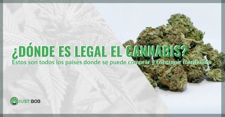 Estos son los países donde el cannabis es legal