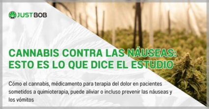 Cannabis contra las náuseas: esto es lo que dice el estudio