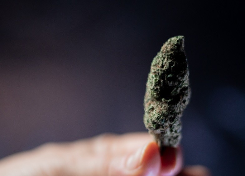 Las diferencias en cuanto a los efectos psicotrópicos provocados por los cannabinoides