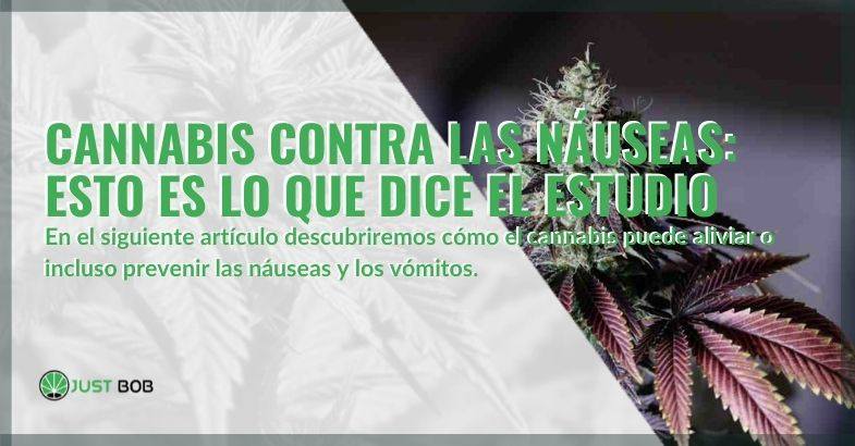 Un estudio afirma que el cannabis parece aliviar, si no prevenir, las náuseas y los vómitos.