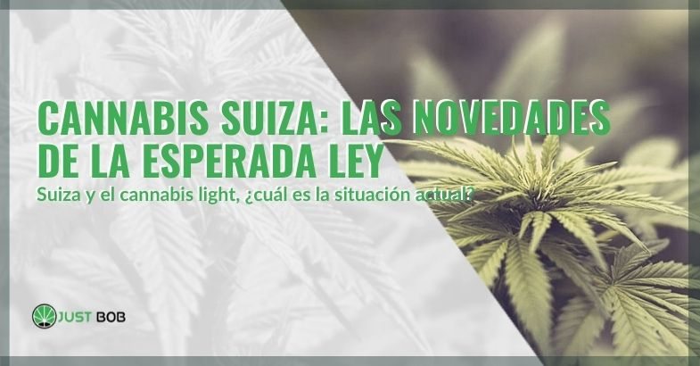 Las noticias sobre la ley suiza sobre el cannabis